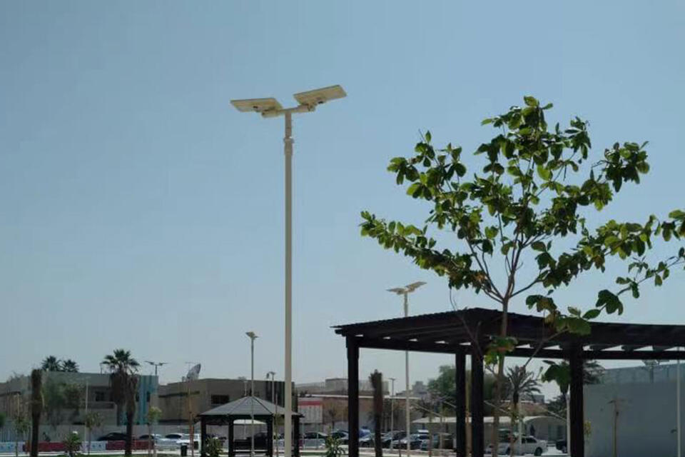 24w 5m solar decorative light pole Dubai