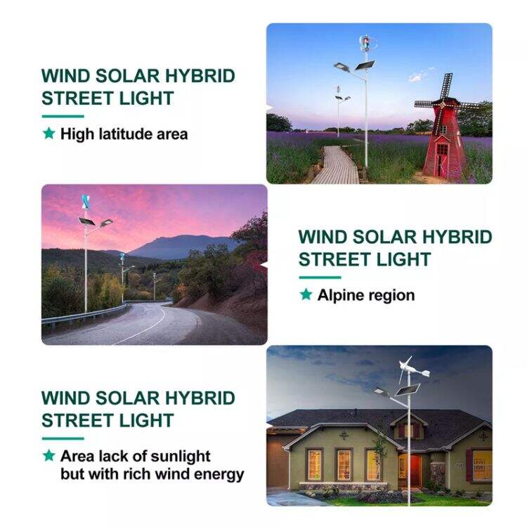 30W-120W Solar wind turbine hybrid Street Light with pole supplier