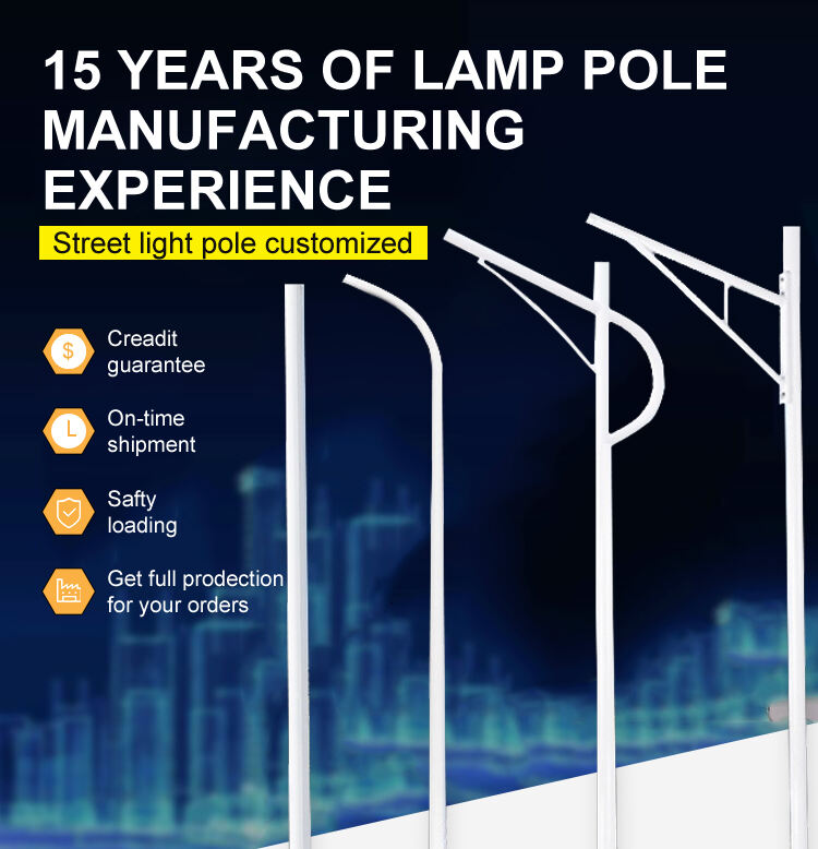 China manufacturer 5m 6m 8m 10m 12m Galvanized street light pole price supplier