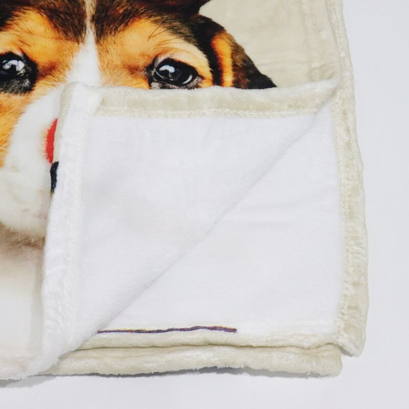 Lovely Doggies Digital Printing Flannel Blanket manufacture