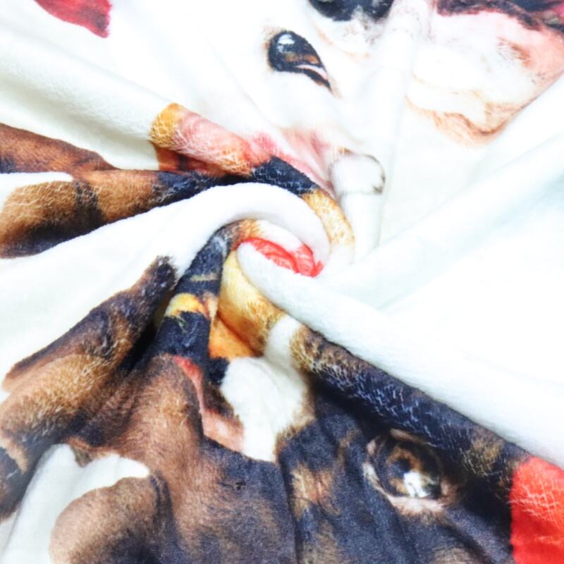 Lovely Doggies Digital Printing Flannel Blanket supplier