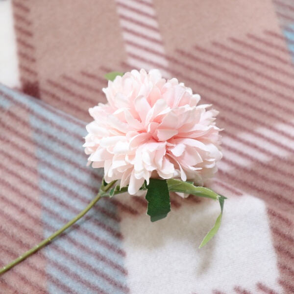 Adds Color to Any Room