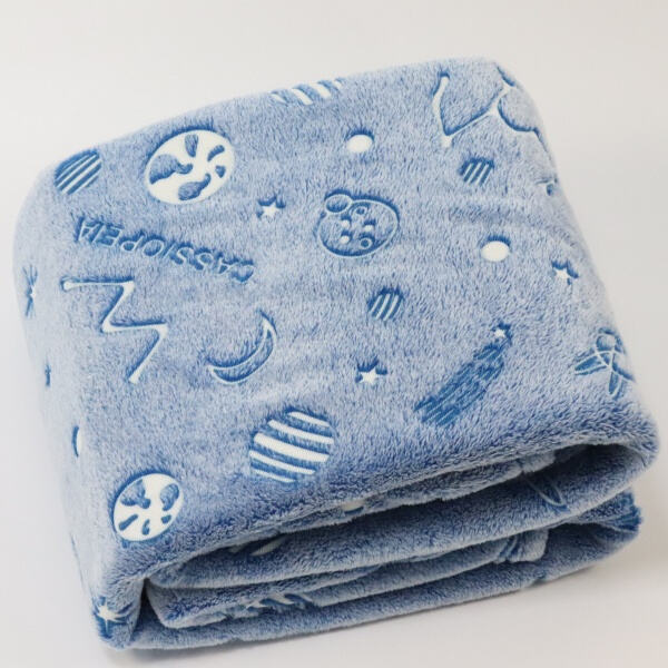 The perfect addition to your napping routine - the bluey fleece blanke