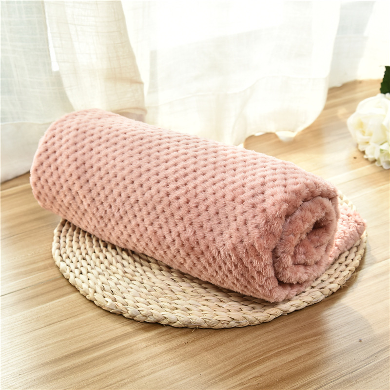 Lively Winter Factory Outlet Warm Soft Cozy Jacquard Pet Dog Small Custom Flannel Throw Blanket details