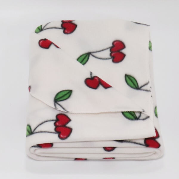 The Ultimate Shield From The ColdWeather: Polar Fleece Blankets