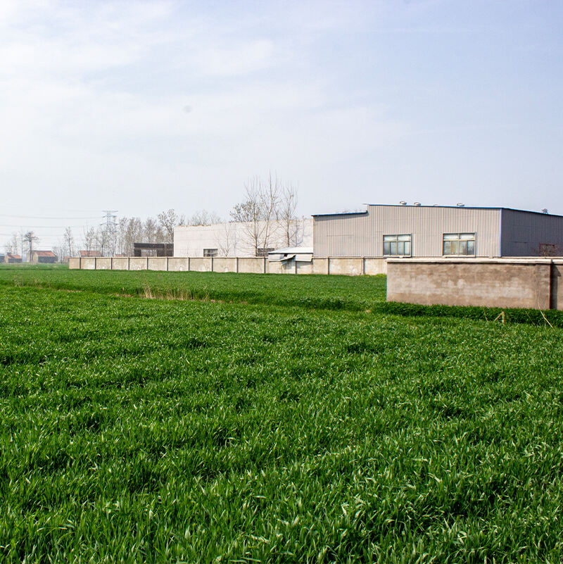 The company purchased new land to expand the scale of the factory