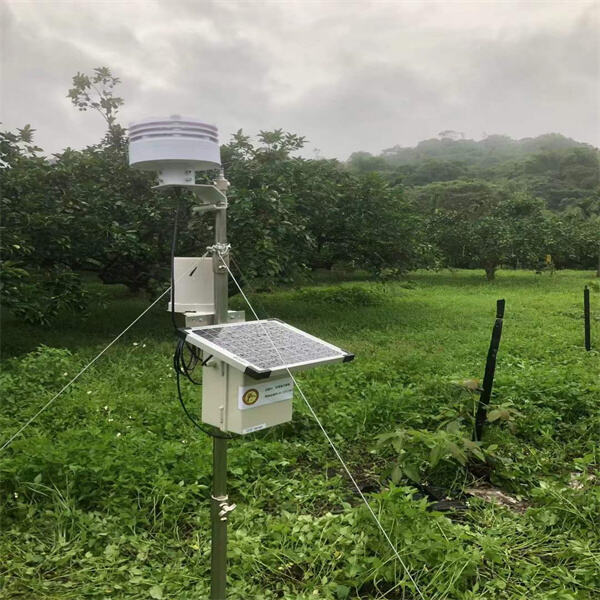 Surveillance météorologique fiable et durable pour tout emplacement en extérieur