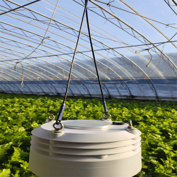 Improving Agricultural Production with Precise Weather Station Data
