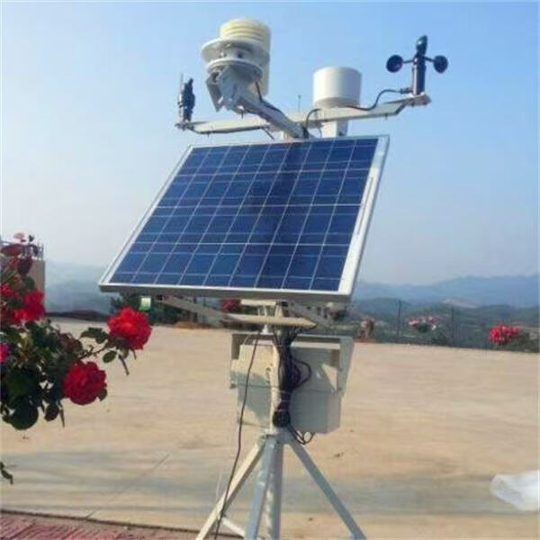 Understanding the Data Collected by Automatic Weather Stations