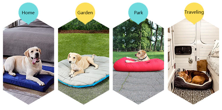 Hot Sale Comfortable Non-Slip Different Size Ultra Soft Pet Bed Soft Comfortable Warm Luxury Dog Bed factory