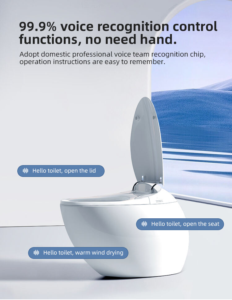 ceramics automatic smart toilet intelligent one piece sanitary ware toilet details