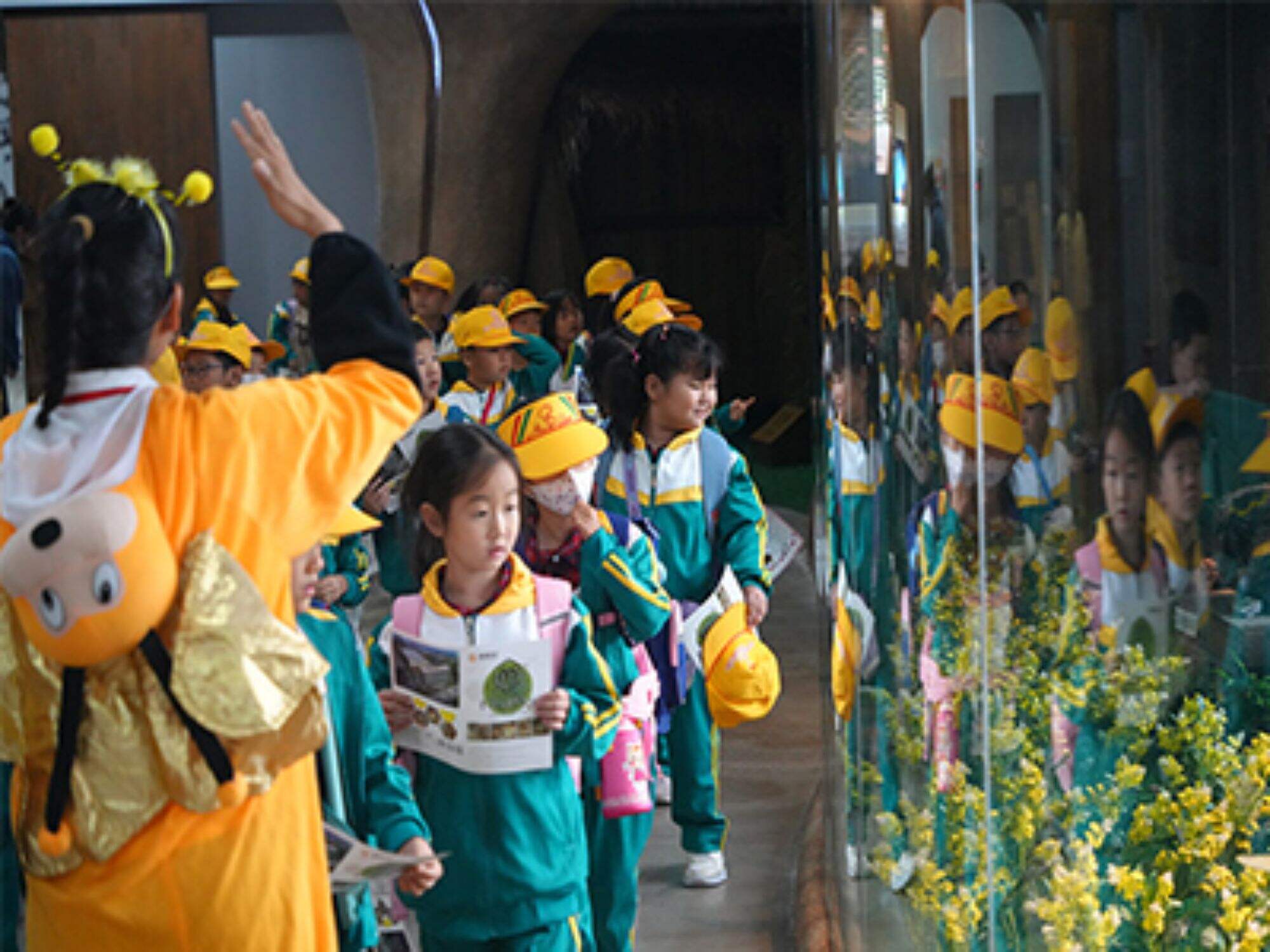 All teachers and students of the first grade of Daxing Jiugong Elementary School Enter the Museum of Bee Kingdom