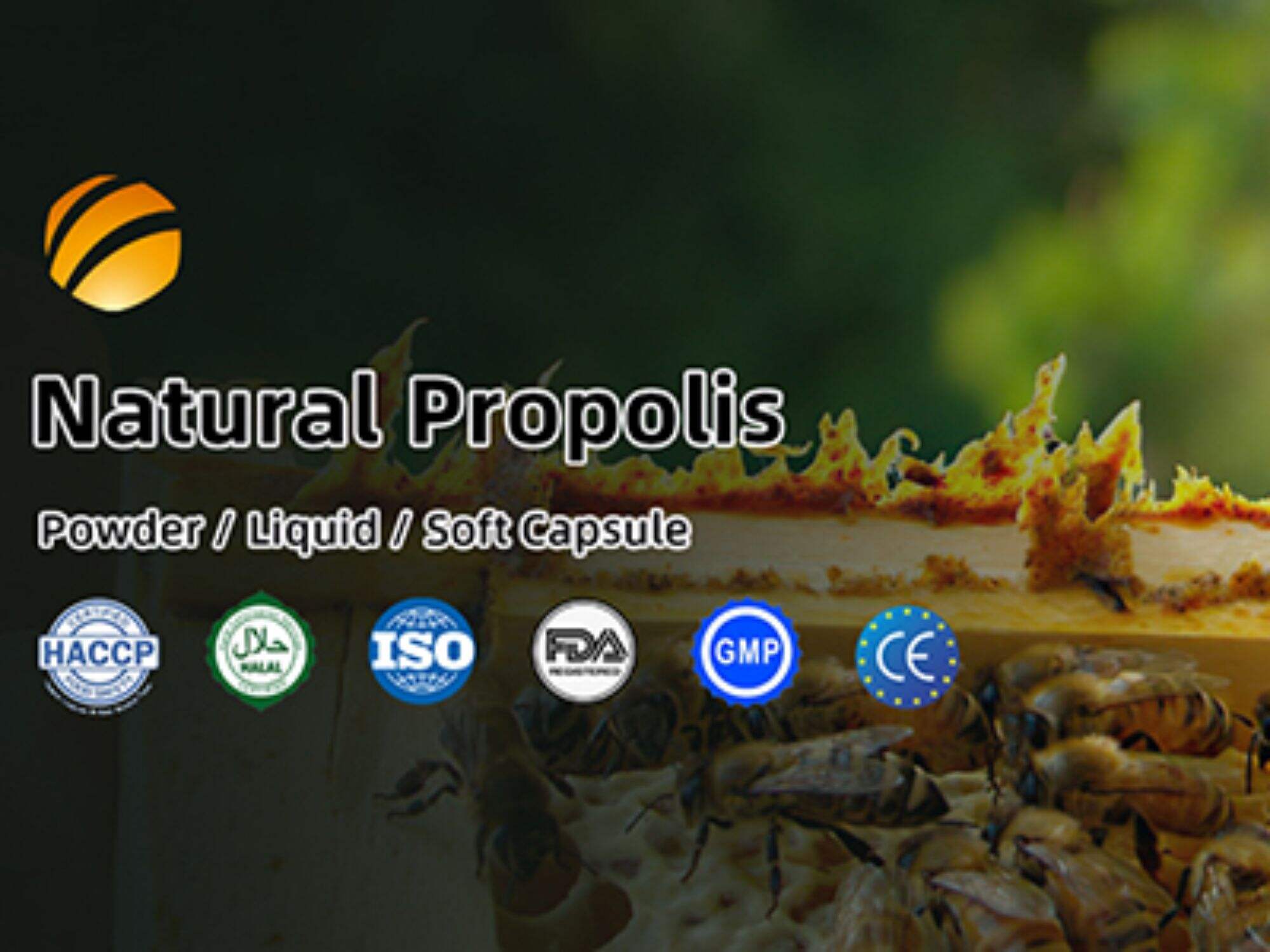 Which kinds of the propolis series product models to show?