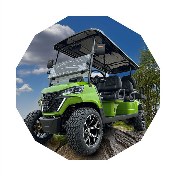 The 48v Golf Cart with 4 Seats