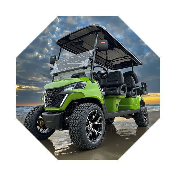 Experience a comfortable ride with the whole group in a spacious 4 seater golf cart.