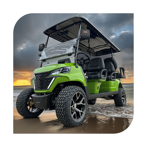 Confort et efficacité dans le chariot de golf Seat Golf Cart 6