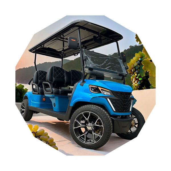 CE-Certified Golf Carts for Your Ultimate Golfing Experience