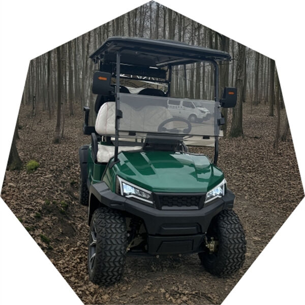 Vivez l'excitation du vert avec un chariot de golf électrique à 80 km/h