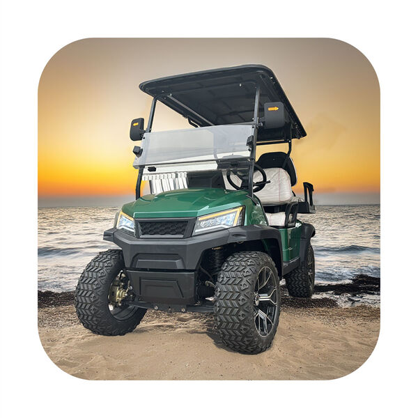 استمتع بالقوة والأداء في السيارة الكهربائية 4x4