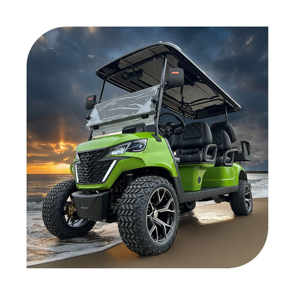 Le chariot de golf Seat Golf Cart 6