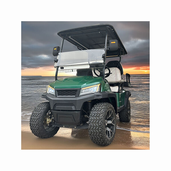 Elektriese Verhoogde Golfwagons