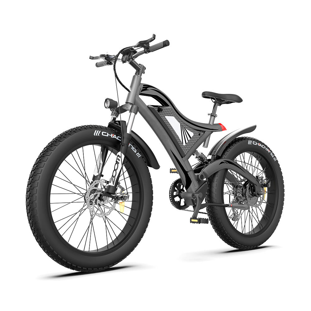 Low Price 2024 20inch Foldable Ebike 1000W Fat Tire Folding Electric Bike