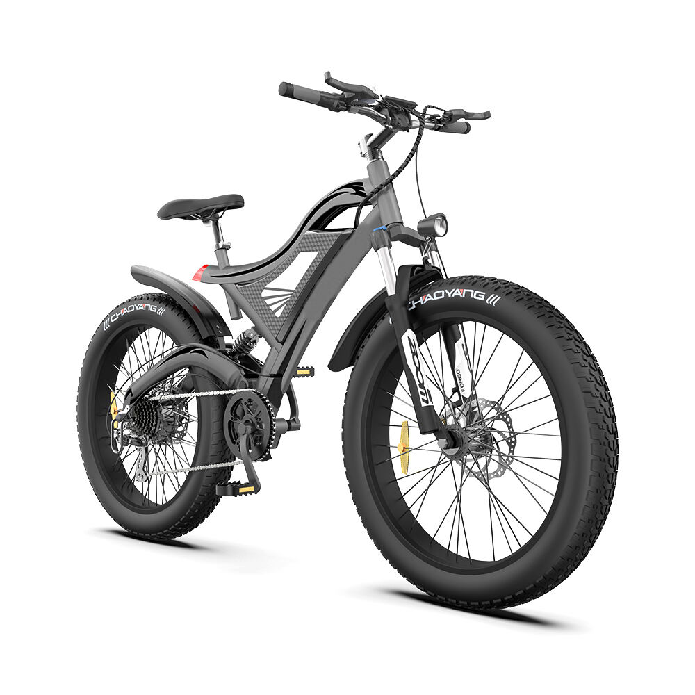 2024 Fat Tire Folding Ebike Lithium Battery Foldable Electric Bike 1000w