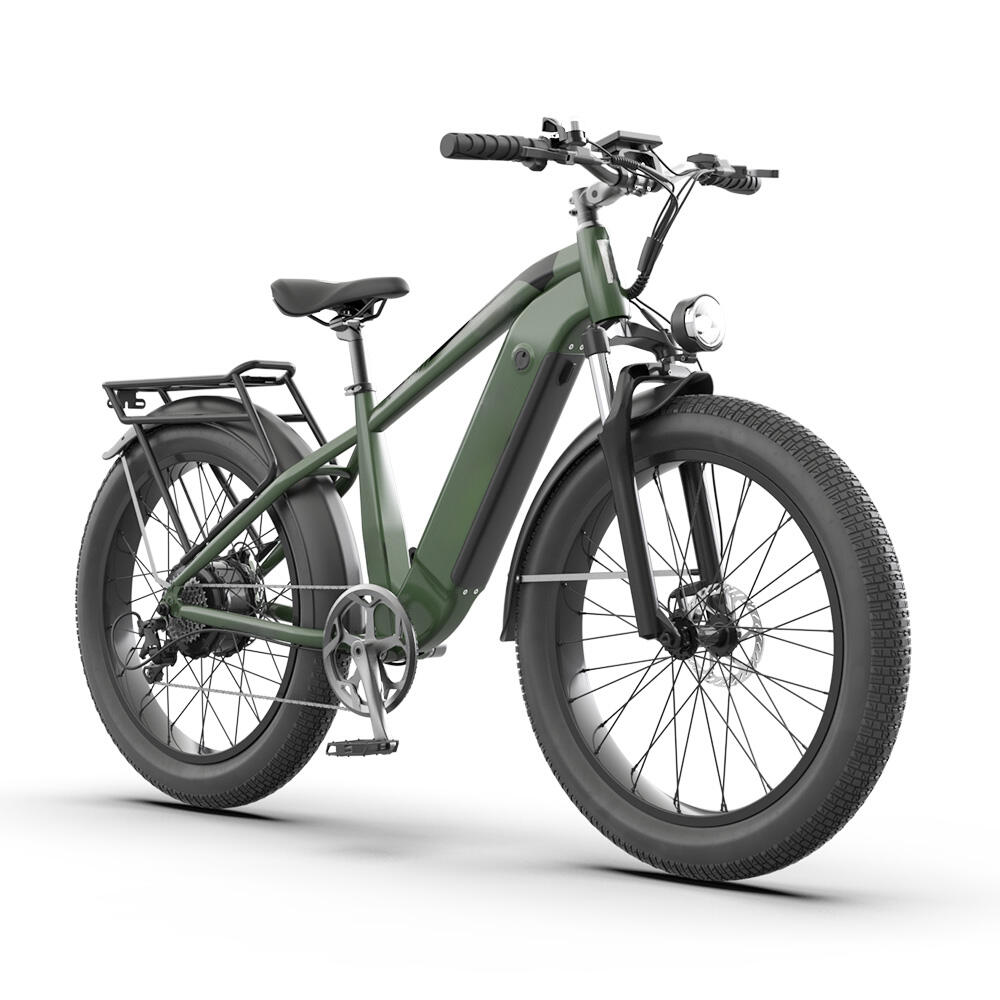 High Performance Motor 48V 500W 750W Foldable Ebike Electric Bike For Adults