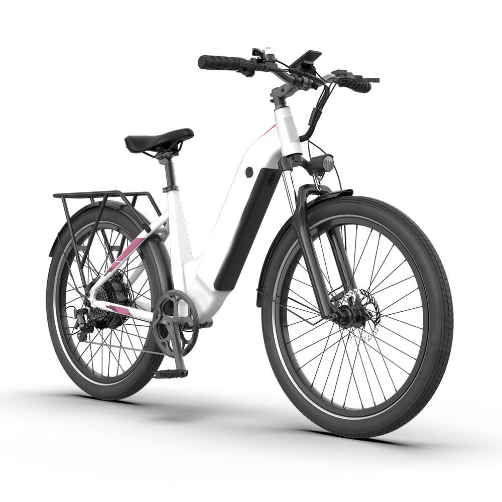 Unique Innovation 14 Inch 48V 350W E-Bike Hybrid Folding Electric Bike