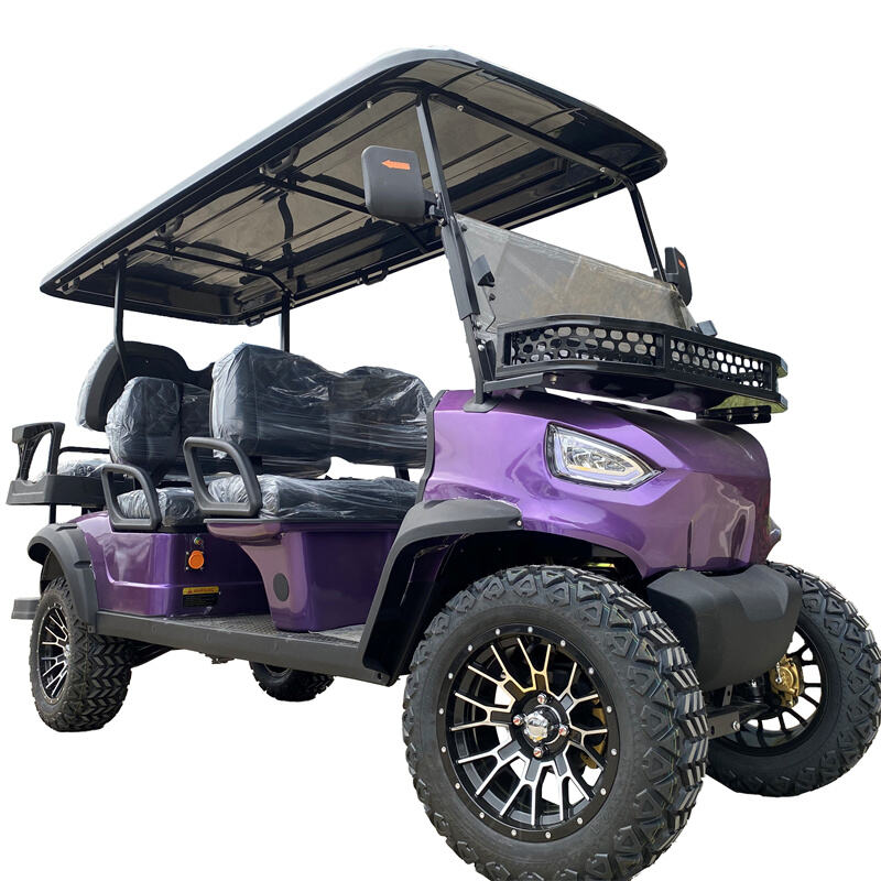 Compact Flexible Nice 4 Wheel 2 Seat Drive Enclosed Cab Golf Cart Club Car