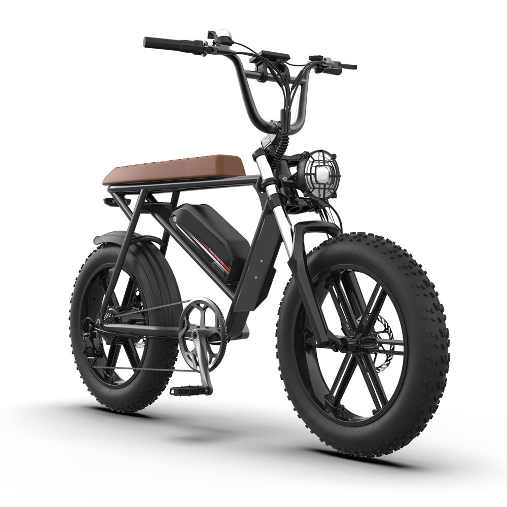 Off-road 48V 500W 750W 1000W eBike Folding Bicycle Electric Fat Tire Bike