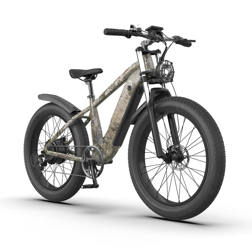 Factory Direct Powerful 750W Fat Tire City Mountain E-Bike Electric Folding Bike