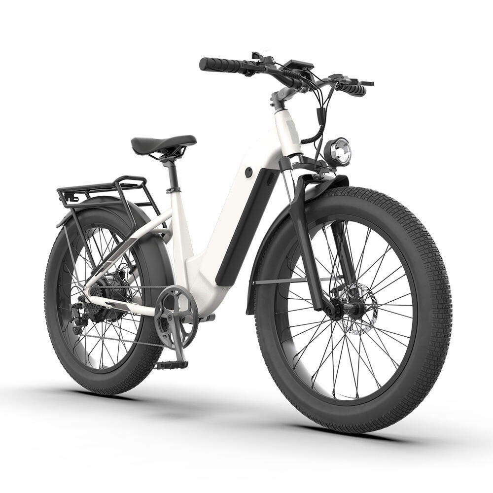 High Quality 750W 100W Electric Mountain Bicycle 48V 72V Electric Ebike