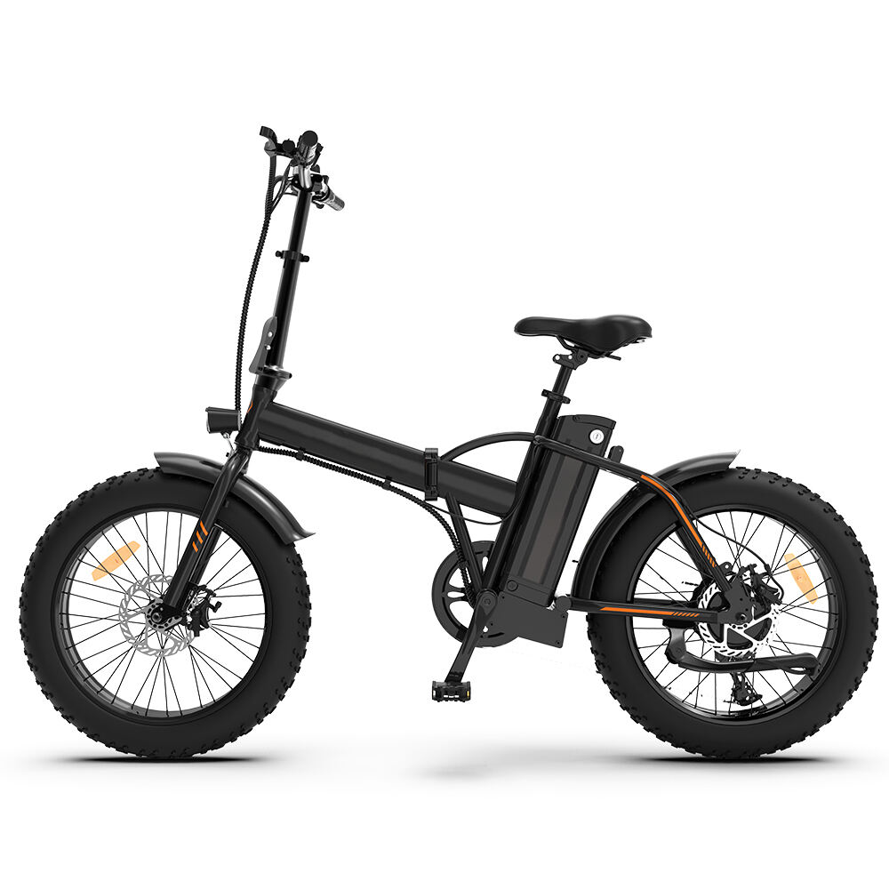 High Performance Motor 48V 500W 750W Foldable Ebike Electric Bike For Adults