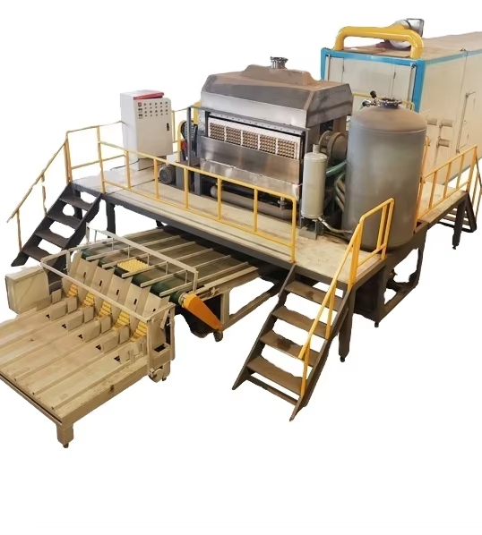 Customization Options Available with GM Machinery's Egg Tray Machines