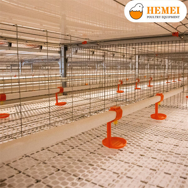 Ensuring Quality with Top-of-the-Line Broiler Equipmen