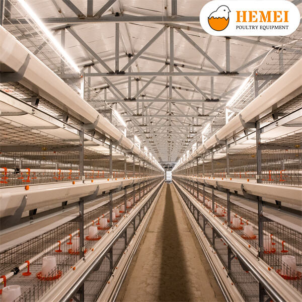 How Innovations in Broiler Chicken Equipment Benefit Farmers and Consumers Alike