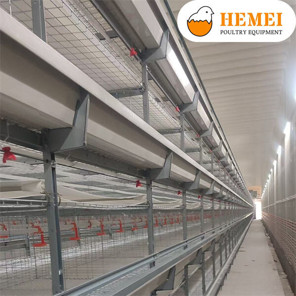 Îmbunătățirea bineființei animalelor și a durabilității practicilor agricole