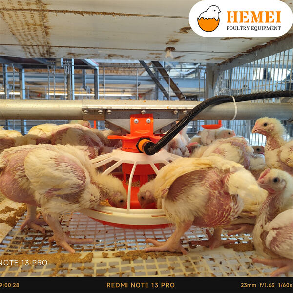 Investeren in een duurzame toekomst voor pluimveehouderij.