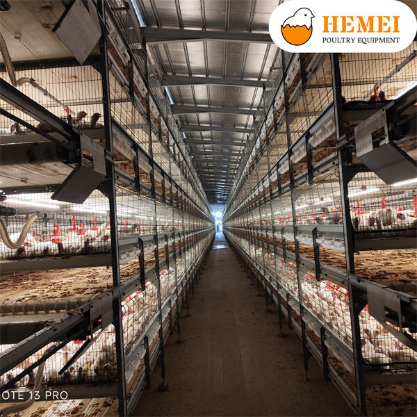 Get Top-of-the-Line Broiler Cages at Competitive Prices