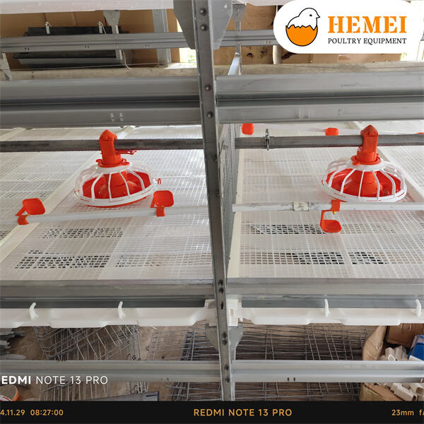 Find the Perfect Broiler Cage for your Farming Needs