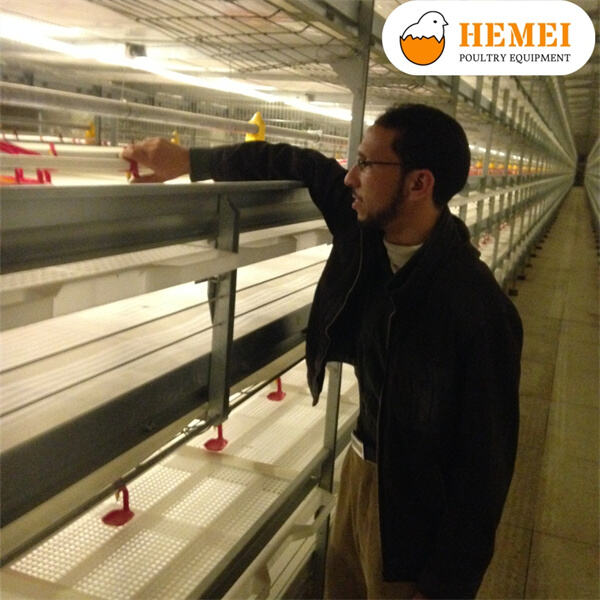 Upgrading Your Operations with Modern Broiler Equipmen