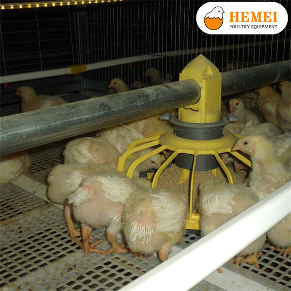 As Vantagens dos Sistemas de Gaiolas para Frangos de Corte para Produtores de Aves