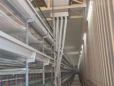 The Evolution of Chicken Farming Equipment Over the Last Decade