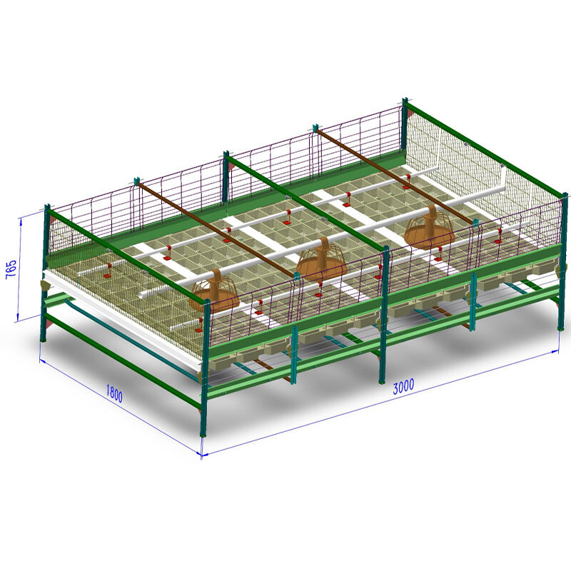 Automatic Harvesting Broiler Cage