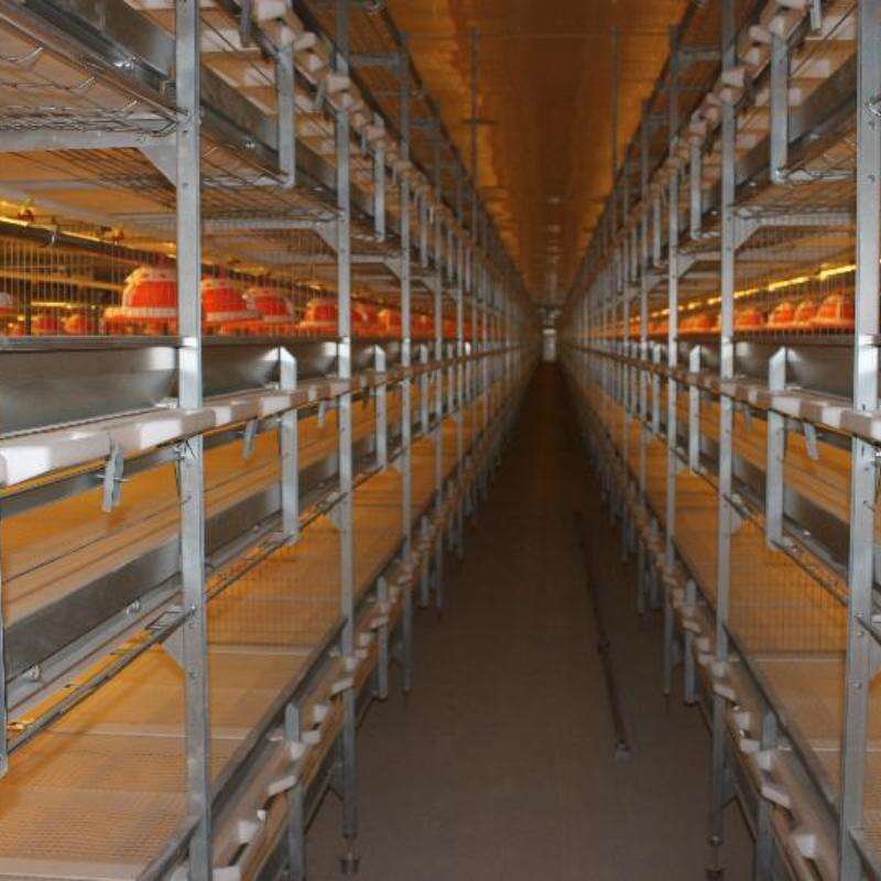 Automatic Harvesting Broiler Cage