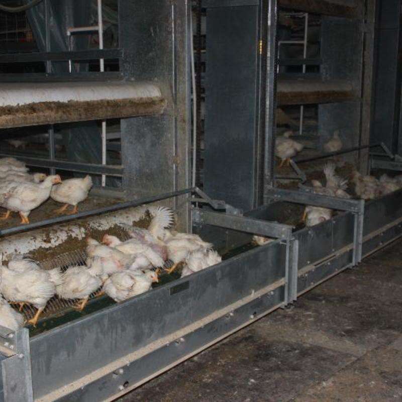 Automatic Harvesting Broiler Cage