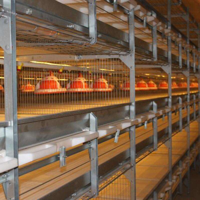 Automatic Harvesting Broiler Cage