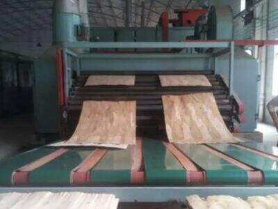 What Mesh Dryer Configuration Fits Continuous Wood Panel Manufacturing