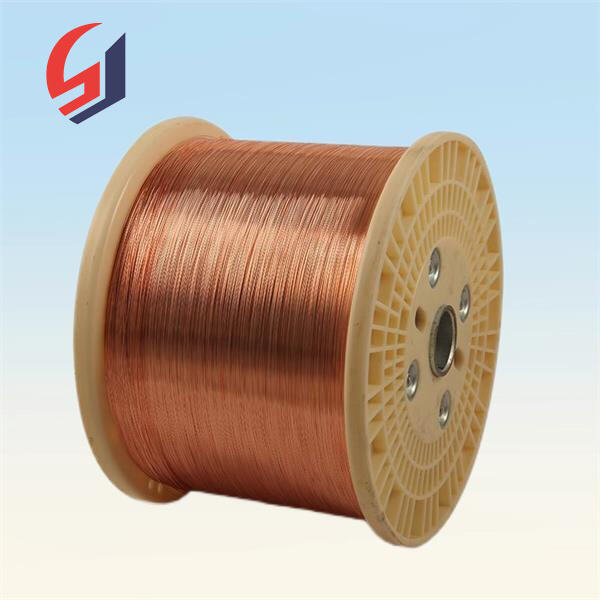 Langlebig, nachhaltig und kosteneffizient